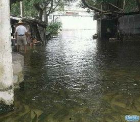 潮州沙溪爆料事件最新情况,最新进展与调查动态揭晓  第2张